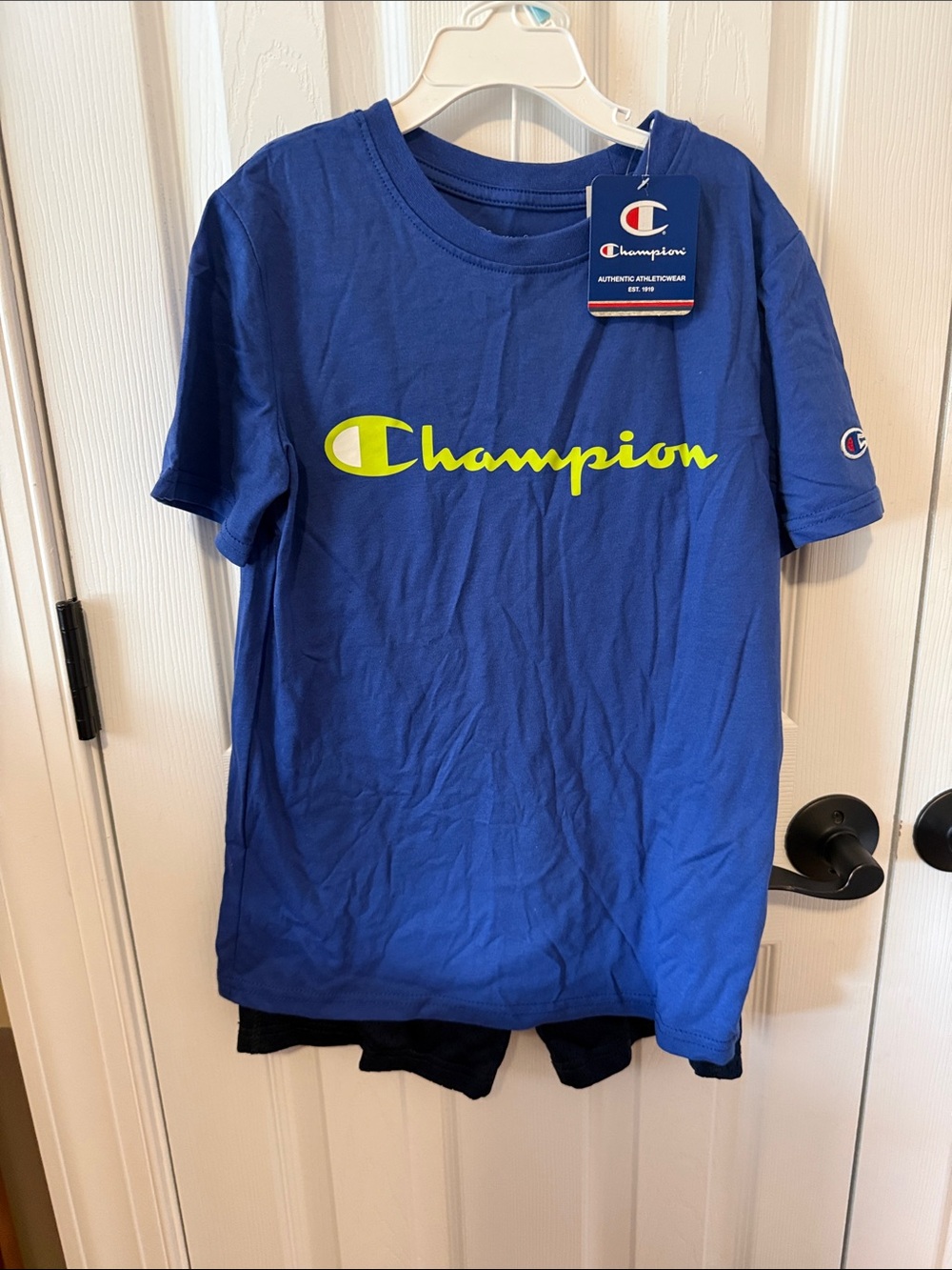 Champion Royal Blue Tee nwt and Nike shorts good condition.